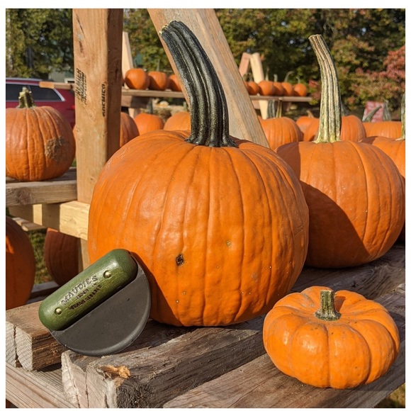 Maudie’s Super Squash Scooper - perfect for Fall, Autumn, Halloween, Baking etc - Picture 4 of 5